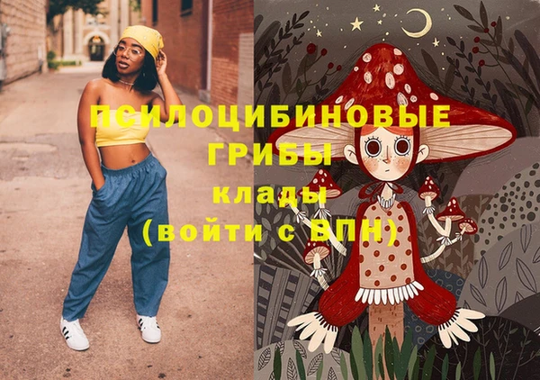 соль ск Наволоки