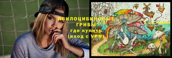 шишки Вязники