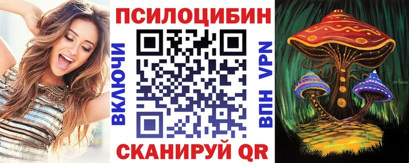 Псилоцибиновые грибы мицелий  Новоузенск 